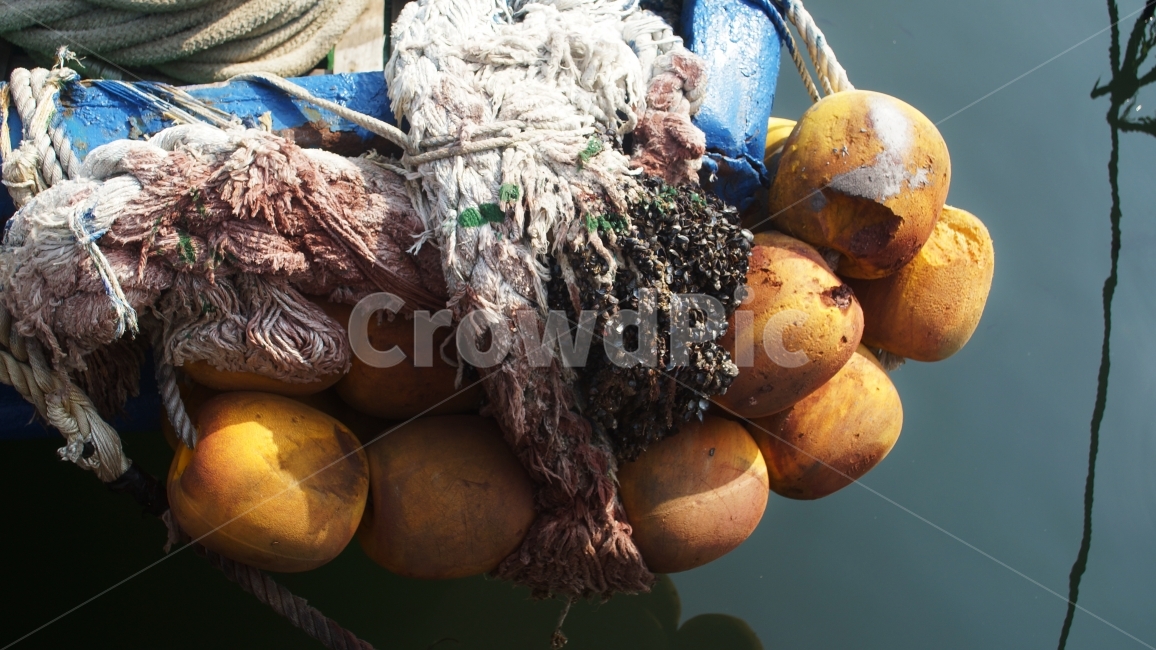바다,부둣가,밧줄,해양,해안,기둥,오브제,녹,배,산업,industry,industrial,어업,fishery,fishing industry