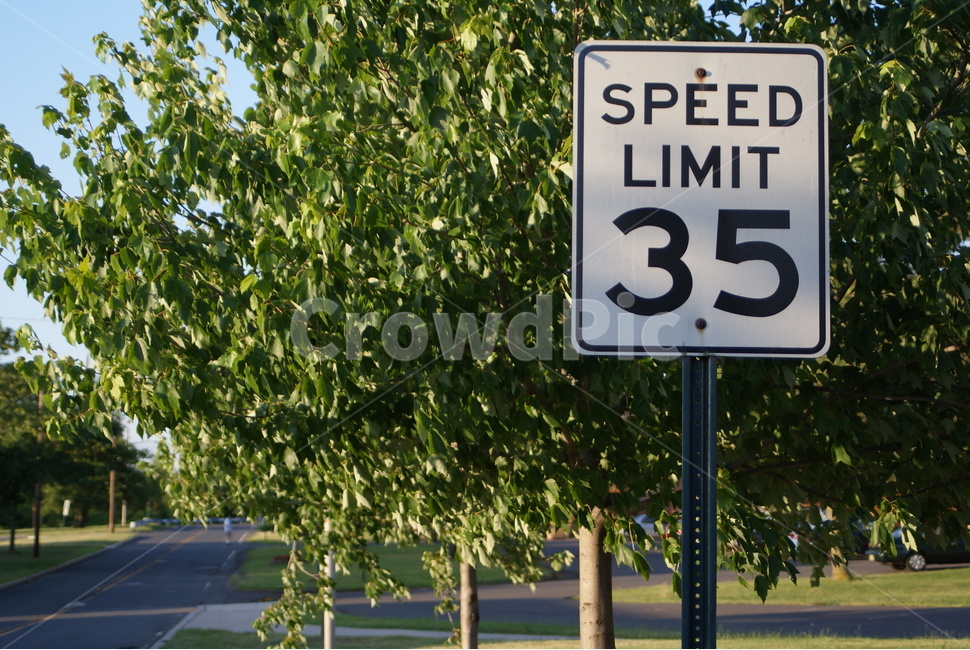 속도제한,표지판,35마일,speed,limit,나무