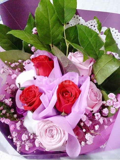꽃,꽃다발,축하,flower,기념일,보라,장미꽃,안개꽃,식물,자연,plants,nature,꽃,flower,기념일,축하,anniversary,congratulation,celebrate,celebration