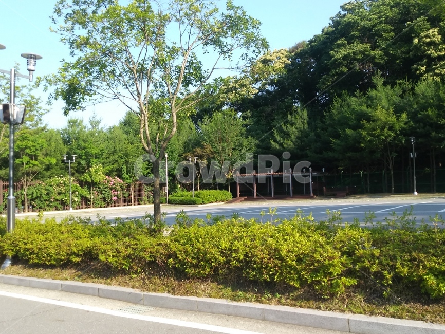 나무들,초록초룩,의자,나무,여름,자연,풍경,nature,landscape,outdoors,옥외,garden,정원