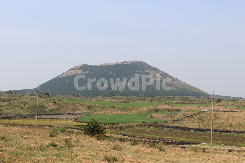 자연,언덕,hill,nature,오름,제주도,하늘