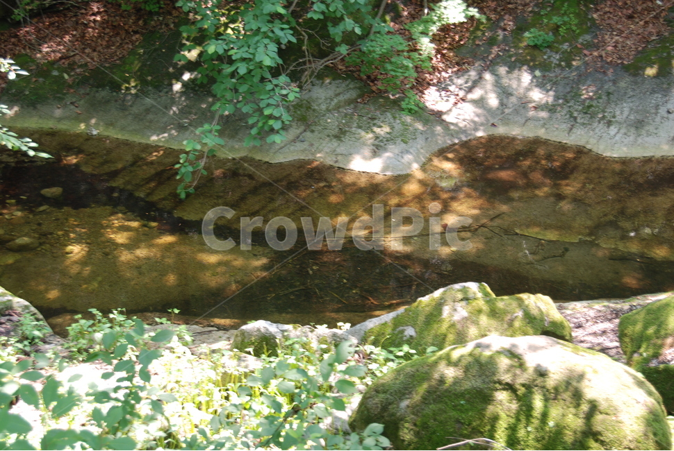 돌,나무,자연,nature,tree,자연,풍경,nature,landscape,vegetation,초목,plant,식물,water,물,outdoors,옥외