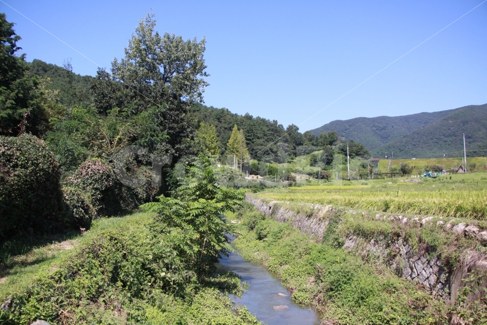 시골,산,풍경,시냇물,자연,자연,풍경,nature,landscape,한국자연풍경,한국자연경관,korea nature landscape,시골,마을,country,rural,town,ditch,도랑