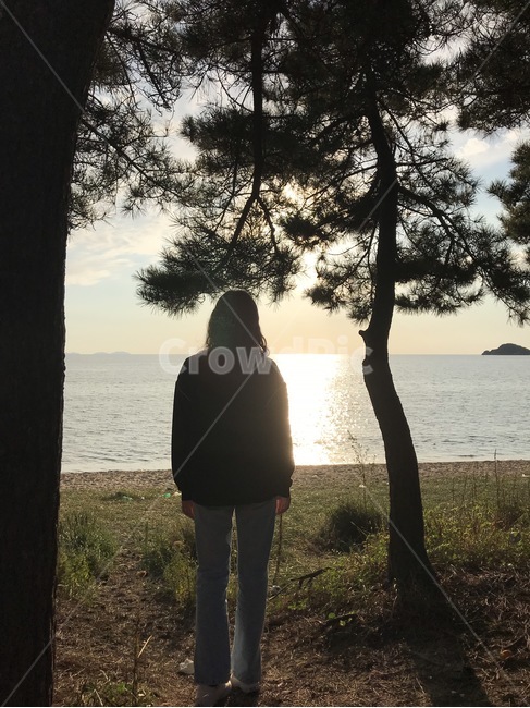 human,plant,여자뒷모습,서있는사람,바다,light,빛,을왕리,사람뒷모습,맨투맨,청바지,서해바다,풀,여자,여자파마,축처진어깨,한국,인천,ocean,standingwoman,korea,incheon,사람,나무줄기,나무,사람,인물,인간,human,person
