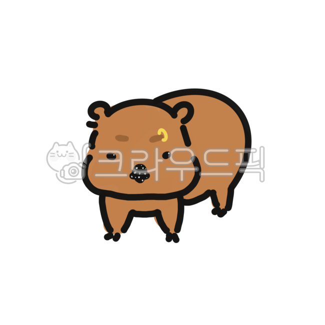 동물,웜뱃,호주,캐릭터,호주동물,animals