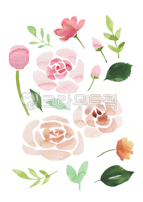 배경,백그라운드,무늬,패턴,텍스쳐,일러스트,일러스트레이션,드로잉,그림,수채화,수작업,봄,봄꽃,자연,식물,장식,꽃잎,꽃,장미,장미꽃,꽃봉오리,나뭇잎,나뭇가지,plant,flower,floral,spring,watercolor,illustration,drawing,painting,blossom,rose,누끼,remove background,그래픽,일러스트레이션,graphic,illustration