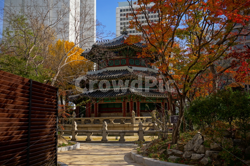 환구단,환단,원구단,문화재,전통,대한제국,조선,문화,전통문화,한국,korea,서울,seoul,한옥,건물,빌딩,building,건축물,건축,culturalassets,culturaltreasure,황궁우,천단,신단,제단,해태,가을,단풍,나무,tree,fall,autumn,역사,히스토리,history,가을,계절,fall,autumn,season,한국전통,한국문화,korean traditional,korean culture,랜드마크,landmark,tourist attraction,한국랜드마크,한국관광지,한국명소,korea landmark,korea tourist attraction,건축물,건물외관,exterior,building,structure,architecture,construction,temple,신전,worship,예배,shrine,신사,pagoda,탑