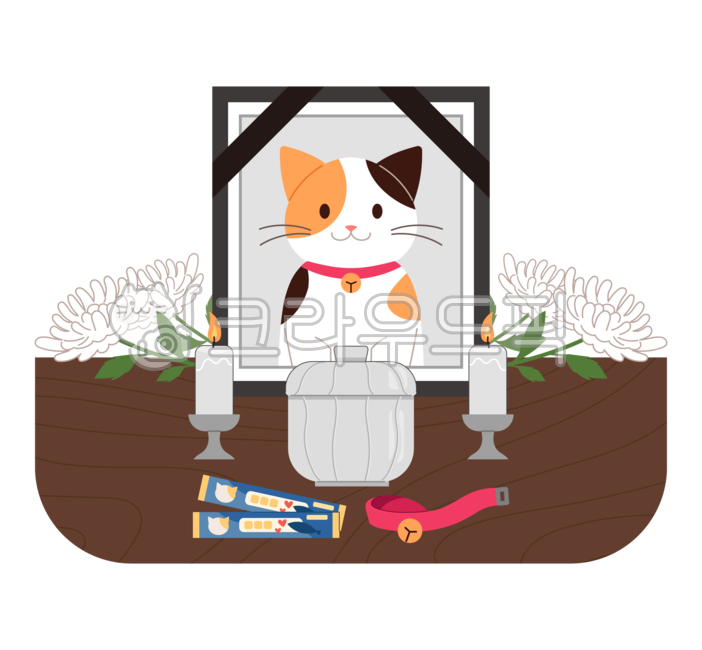 Candlelight,snood,death,snack,concept,png,dead,urn,Pets,Chrysanthemum,portrait photo,cat,funeral,illustration,pet