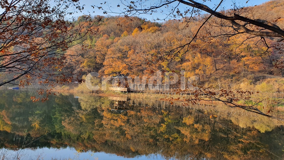 water,물,nature,자연,나무,가을,호수,마장호수,풍경,반영,가을,계절,fall,autumn,season,자연,풍경,nature,landscape