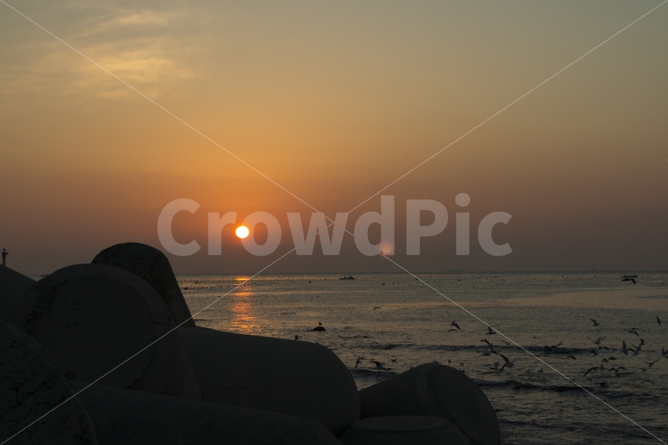 일출,새해,청사포,바다,태양,sunrise,붉은,ocean,자연,풍경,nature,landscape,outdoors,옥외,dusk,황혼,dawn,새벽,red sky,붉은 하늘,sky,하늘,sunset,일몰