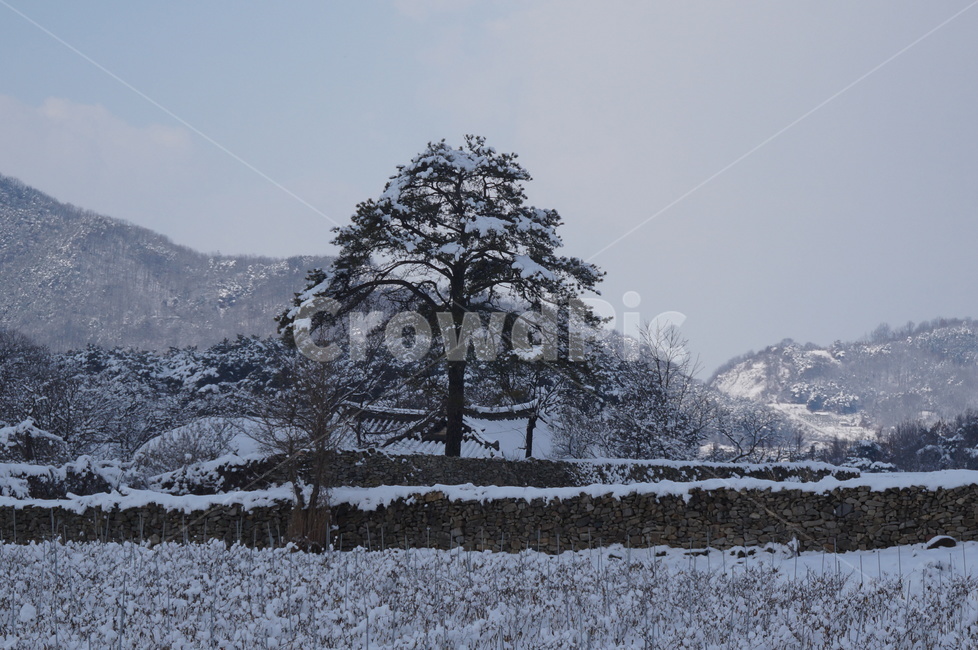 눈,겨울,풍경,외암리민속마을,고택,구름,자연,nature,outdoors,옥외,ice,빙