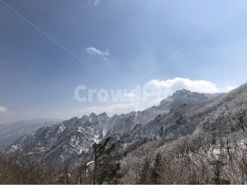 강원도,눈,산,바람,한계령,겨울,계절,winter,season,자연,풍경,nature,landscape,한국자연풍경,한국자연경관,korea nature landscape,mountain,mountain range,산맥,outdoors,옥외,plant,식물,tree,나무,abies,아비,fir,전나무