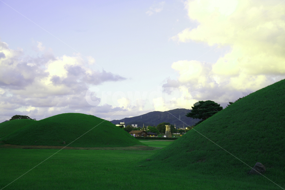 경주,왕능,첨성대,풍경,목초지,grassland,자연,풍경,nature,landscape