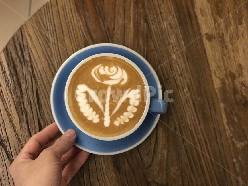 라떼아트,라떼아트꽃,라떼아트장미,장미,커피,카페라떼,커피아트,coffee,latteart,coffeeart,latteartrose,rose,cafelatte,음료수,drink,beverage,커피,카페,coffee,cafe