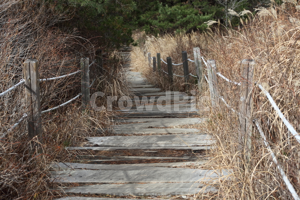 등산로,탐방로,길,mountaintrail,trail,재약산,영남알프스,자연,풍경,nature,landscape,boardwalk,산책로,bridge,다리,building,건물