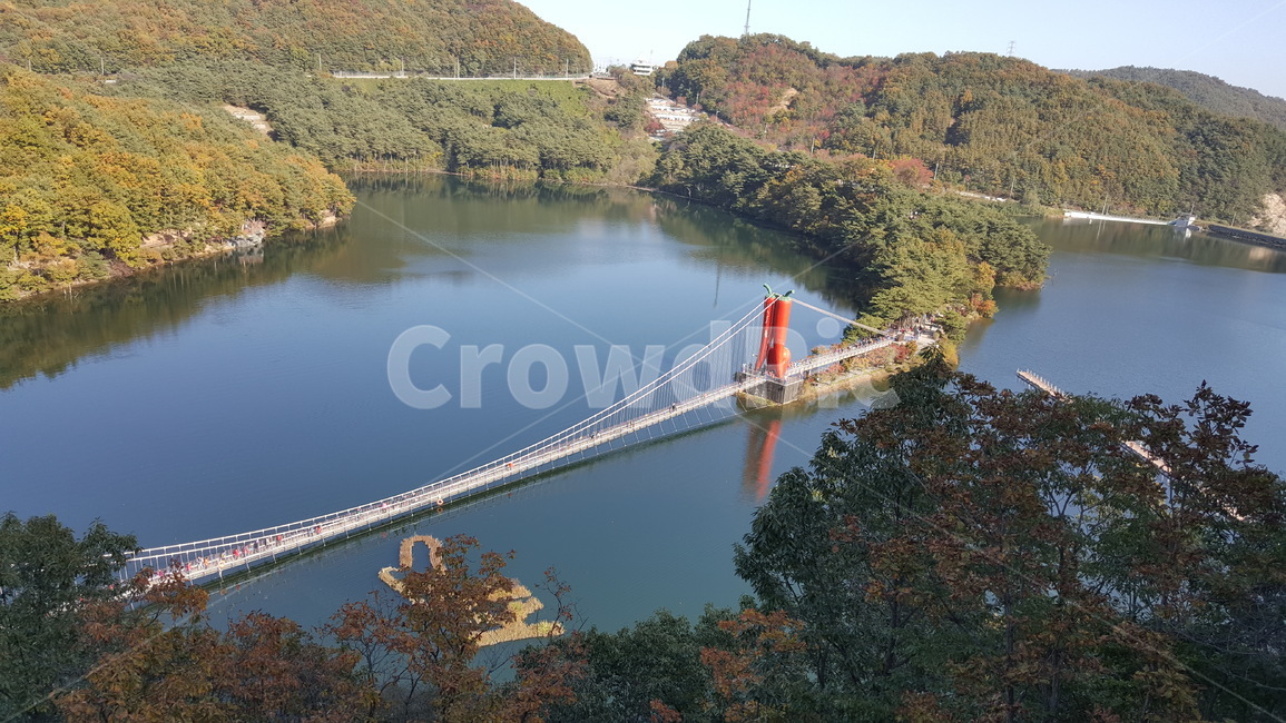 출렁다리,천장호,bridge,다리,건물,풍경,가을,계절,fall,autumn,season,자연,풍경,nature,landscape,building
