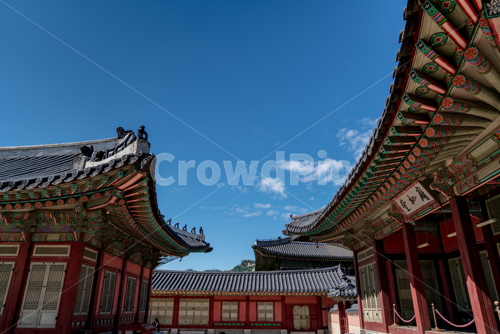 전통,경복궁,고궁,대한민국,서울,한옥,경치,야외,하늘,맑은,파란,구름,흰색,처마,곡선,지붕,기와,목조,목재,목조건물,문화재,조선시대,왕,정치,화려한,색깔,건축,조선,한적한,조용한,엄숙한,역사,한국전통,한국문화,korean traditional,korean culture,랜드마크,landmark,tourist attraction,한국랜드마크,한국관광지,한국명소,korea landmark,korea tourist attraction,건축물,건물외관,exterior,building,structure,architecture,construction