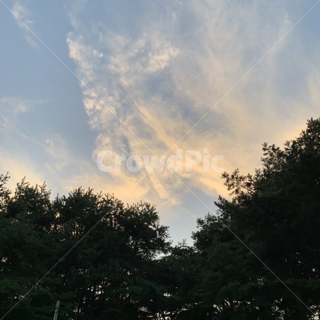 nature,자연,outdoors,날씨,노을,나무,배경,자연,풍경,nature,landscape,옥외,weather