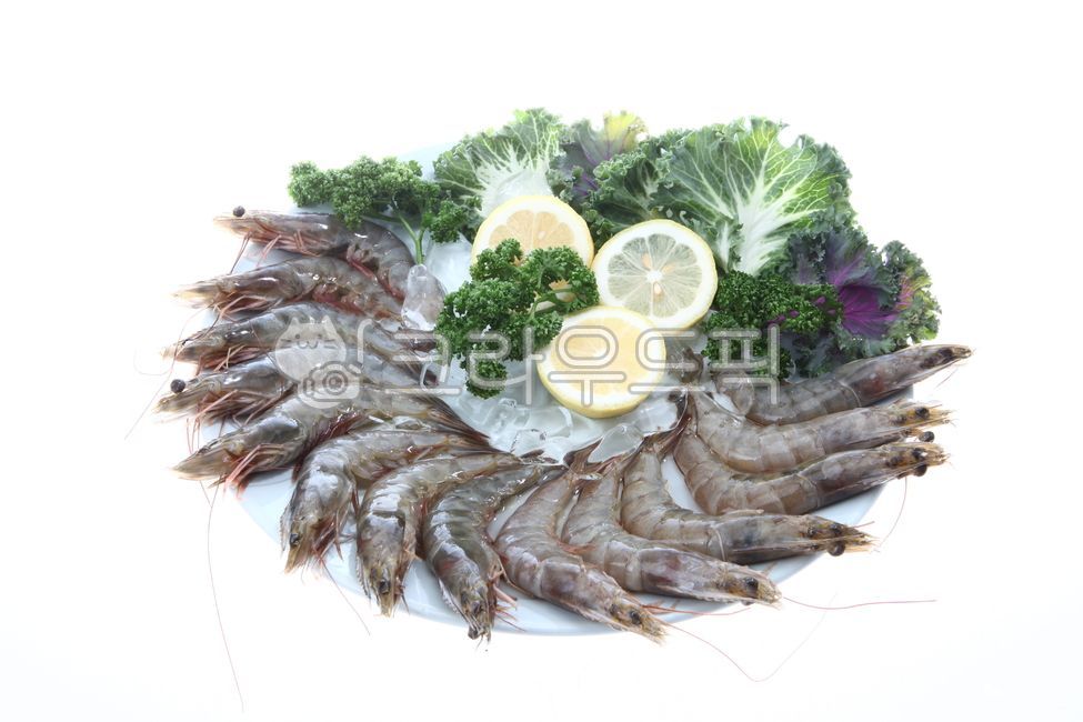 새우,흰다리새우,새우생물,새우재료,수산물,화이트새우,새우요리