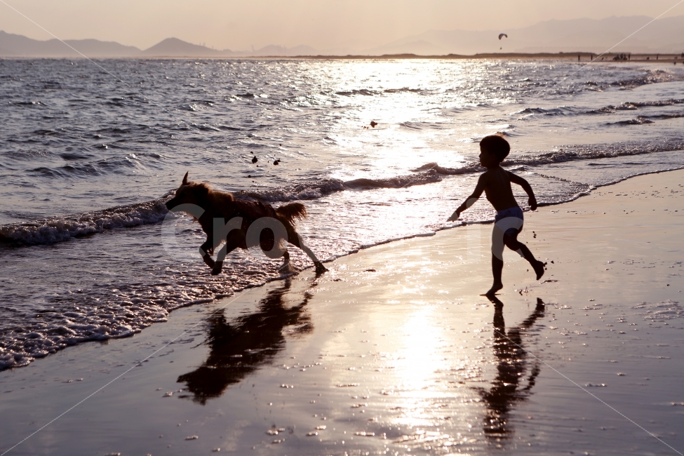 바다,아이,개,파도,석양,여름,계절,summer,season,해변,바다,beach,sea,동물,animal,포유류,mammal,개,강아지,dog,doggy,사람,인물,인간,human,person,가족,패밀리,family,어린이,어린아이,child,children,kid,여행,휴가,traveling,vacation,trip,감성,sensible,feeling,water,물