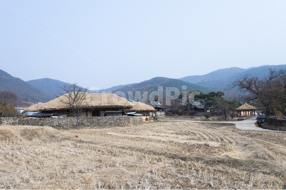 시골,농촌,초가집,봄,옛날집,시골,마을,풍경,landscape,country,rural,town,한국전통,한국문화,korean traditional,korean culture