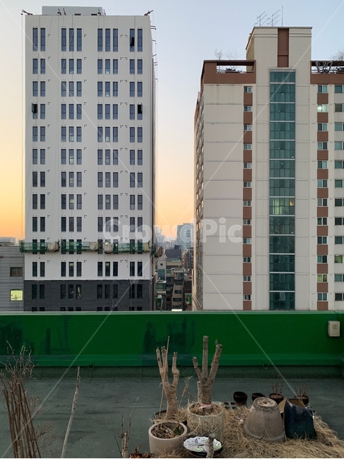 건물,옥상,아침,하늘,노을,건축물,건물외관,exterior,building,structure,architecture,construction