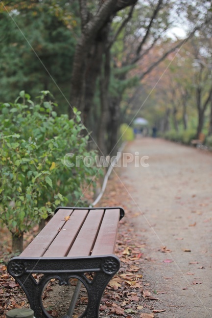 산책로,벤치,나무,자연,숲,bench,trail,wood,forest,nature,자연,풍경,nature,landscape