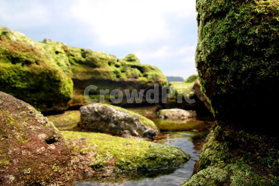 풍경,이끼,돌,바위,자연,자연,풍경,nature,landscape,plant,식물,moss