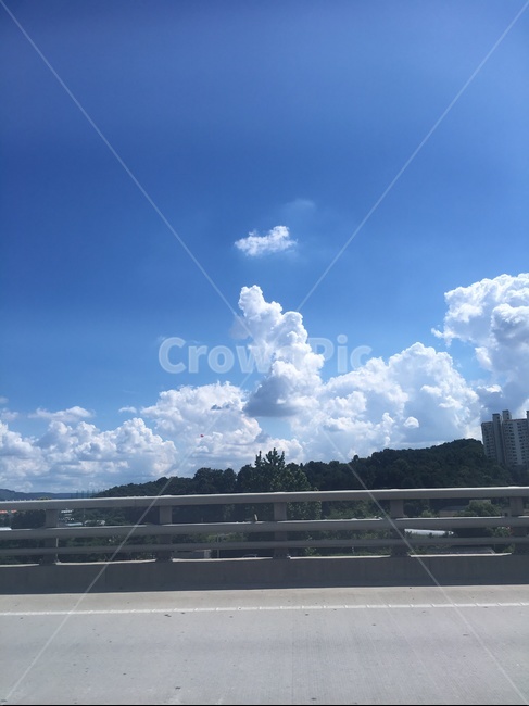 하늘,파란색,나무,구름,여름하늘,뭉게구름,자연,풍경,nature,landscape,outdoors,옥외,sky,weather,날씨
