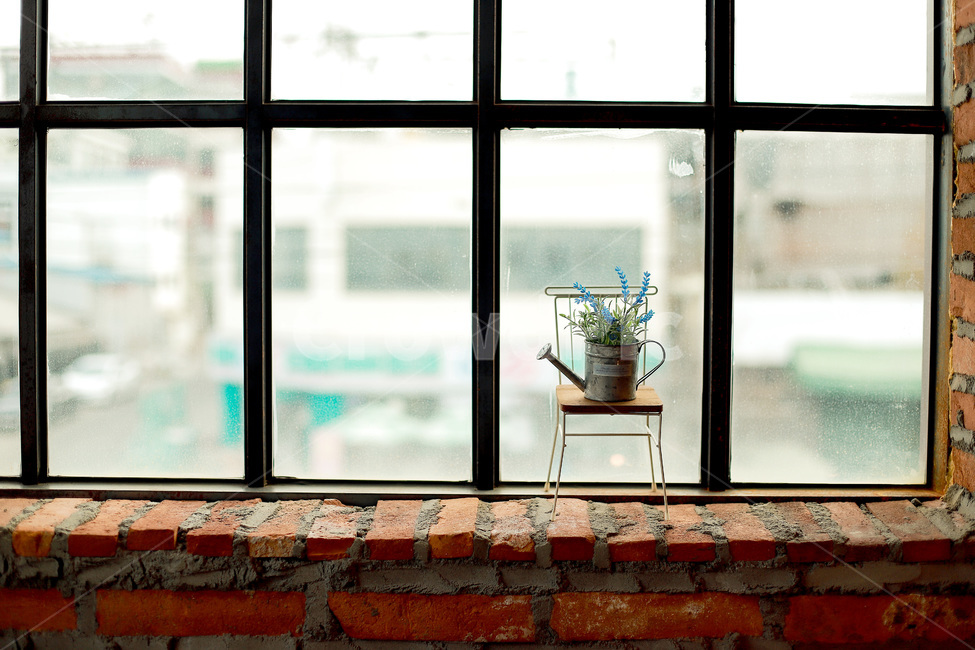 꽃,화초,화분,창문,인테리어,소품,감성,sensible,feeling,인테리어,실내디자인,interior design