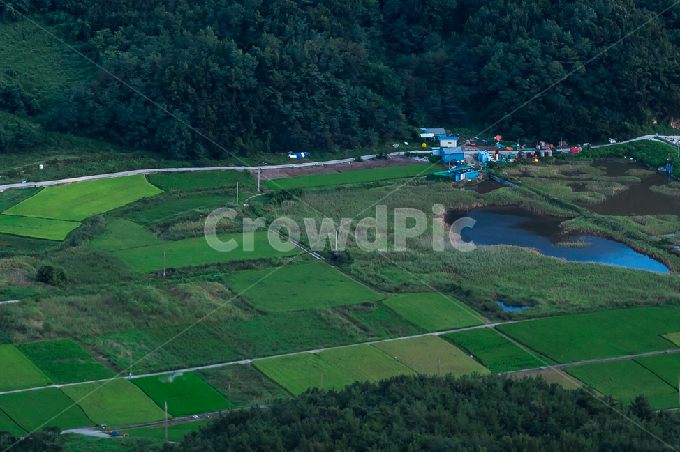 다락논,논,밭,풍경,자연,자연,풍경,nature,landscape,시골,마을,country,rural,town,field,들,outdoors,옥외,grassland,목초지,paddy field,패디 필드