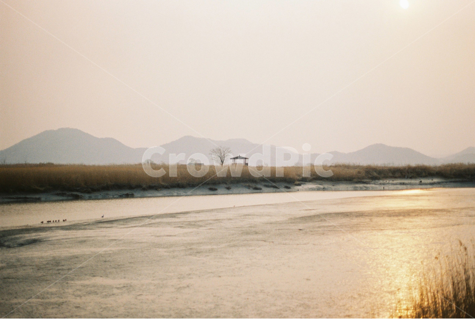 순천만습지,갈대밭,정자,노을,필름카메라,film,하늘,겨울,landscape,풍경,경관,흐린하늘,습지