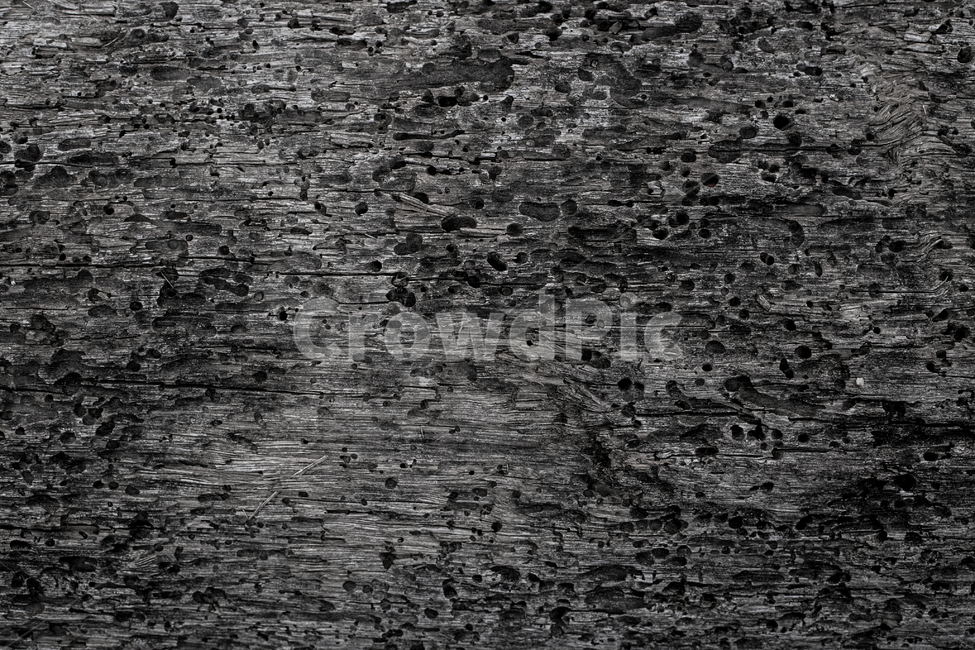 나무,흑백,석탄,감성,자연,tree,nature,텍스처,질감,패턴,texture,pattern
