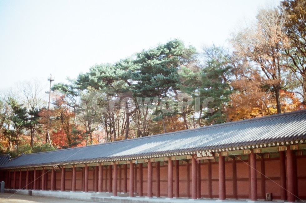 architecture,building,changdeokgung,flim,건축물,건물,창덕궁,고궁,한국전통,한국문화,korean traditional,korean culture,건축물,건물외관,exterior,building,structure,architecture,construction