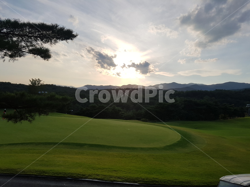 골프장,잔디,구름,저녁,일몰,sunset