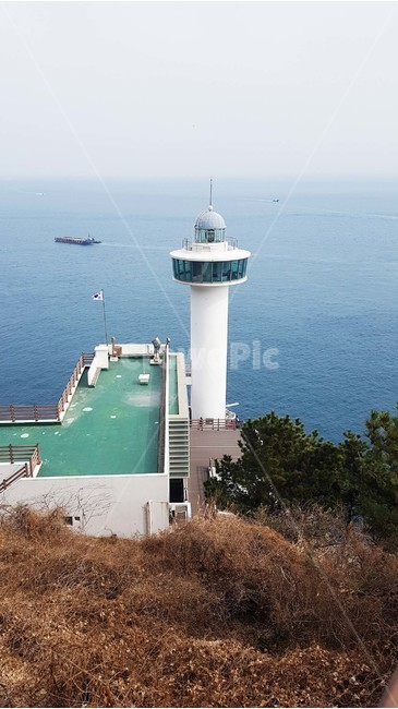 등대,선박,운항,전망대,영도등대,태종대,바다,바닷가,파도,해안가,수평선,자연,풍경,절경,해안도로,하늘,절벽,해안절벽,나무,윤슬,물거품,등대,lighthouse