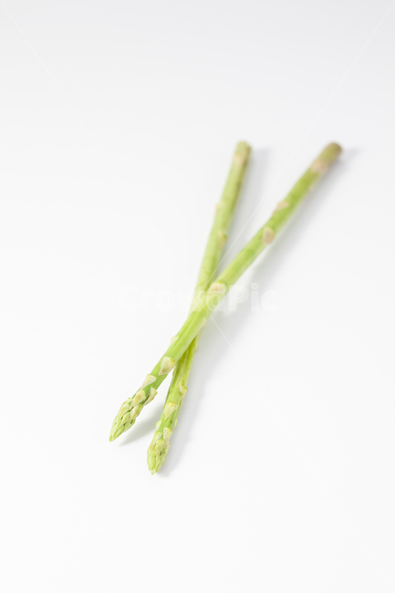아스파라거스,asparagus,아스파라거스누끼,누끼,채소,plant,식물,vegetable,야채,food,식품,채소,야채,vegetables,연출,컨셉,콘셉,direction,concept