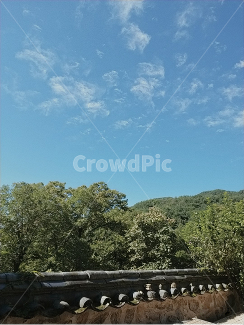 outdoors,옥외,nature,자연,담장,하늘,나무,tree,담,기와,담벼락,초록,파랑,구름,흙,돌