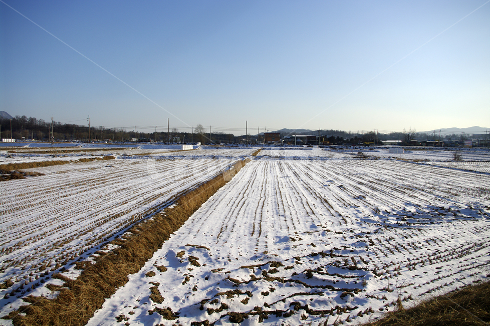 설경,겨울,winnter,계절,눈,하늘,전원,겨울,계절,winter,season,시골,마을,풍경,landscape,country,rural,town