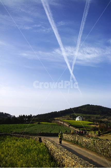 계절,봄,spring,하늘,구름,풍경,산,밭,시골,청산도,자연,풍경,nature,landscape,한국자연풍경,한국자연경관,korea nature landscape,outdoors,옥외,human,인간,person,사람