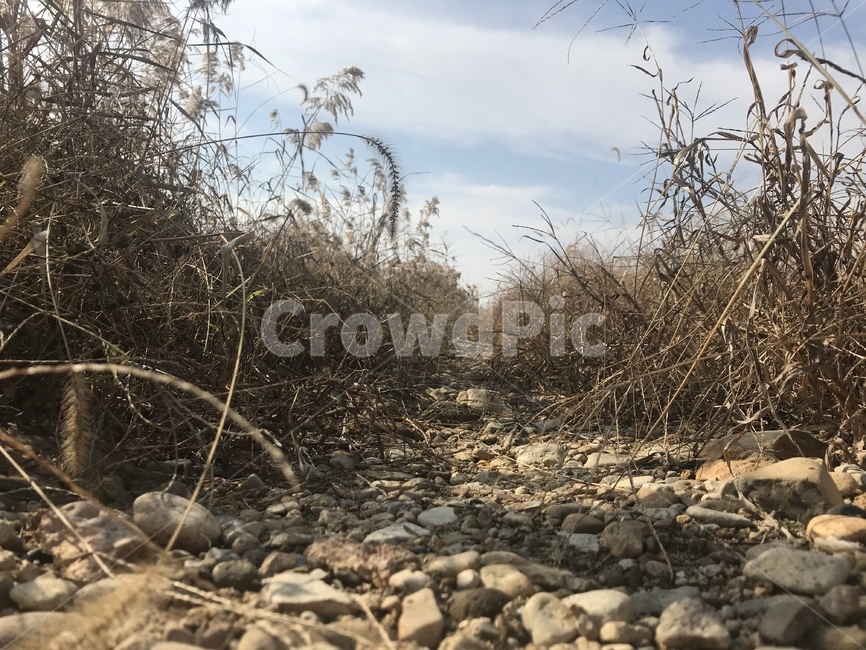자연,길,풍경,자연배경,자연풍경,가을,가을배경,자연,풍경,nature,landscape,rubble,파편,ground,바닥