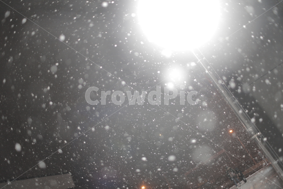 눈,함박눈,설경,snow,야경,길거리,가로등,밤하늘,겨울,감성,아련,겨울,계절,winter,season,야경,밤,풍경,nightscape,night,landscape,flare,플레어,light,빛
