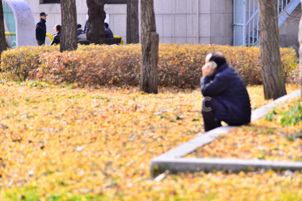 노인,노인네,외로움,고독,쓸쓸함,소외,장년,노년,silver,노인문제,고령화사회,공원,파크,야외,옥외,outdoor,초고령사회,배경,바탕,백그라운드,사회문제,실버세대,무료함,전화통화,사람,인물,인간,human,person,노인,어르신,old man, senior citizen