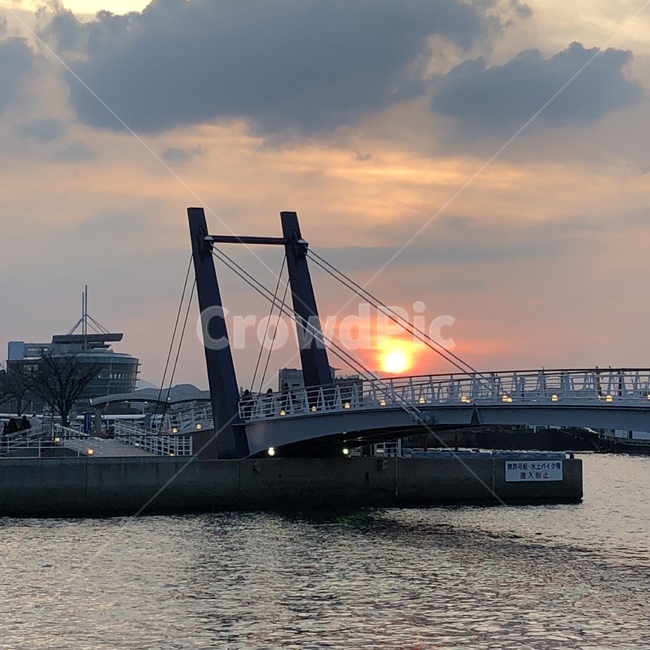 배,일출,야경,풍경,해변