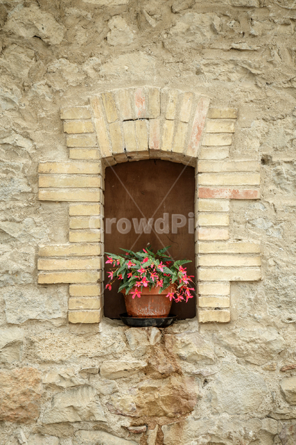화분,꽃,벽,벽돌,flower,pot,wall,brick,식물,자연,plants,nature,꽃,flower