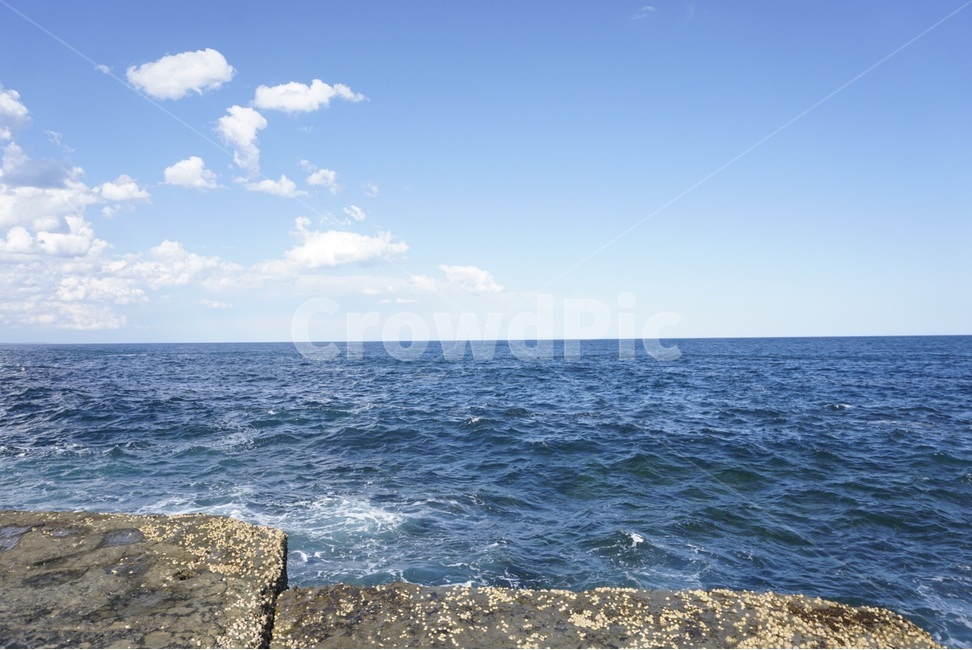 시드니,sydney,자연,nature,풍경,scenery,바다,sea,호주,australia,물,water,자연,풍경,nature,landscape,outdoors,옥외,ocean,대양
