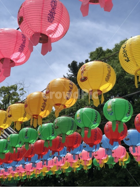 석가탄신일,부처님오신날,연등,풍등,절,사찰,불교,temple,종교,신앙,religion,belief,faith,축제,행사,festival,carnival,event