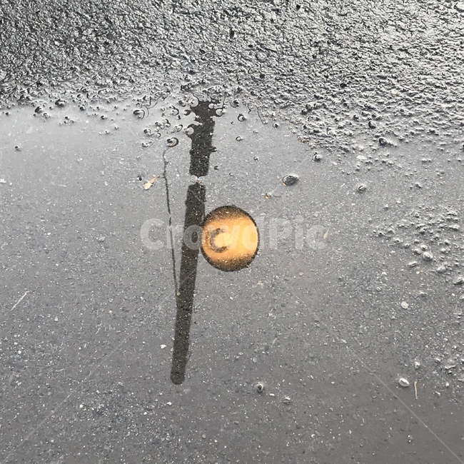 가로등,빗물,감성사진,흐림,streetlamp,rain,mood,gray,조명,도로,light,lamp