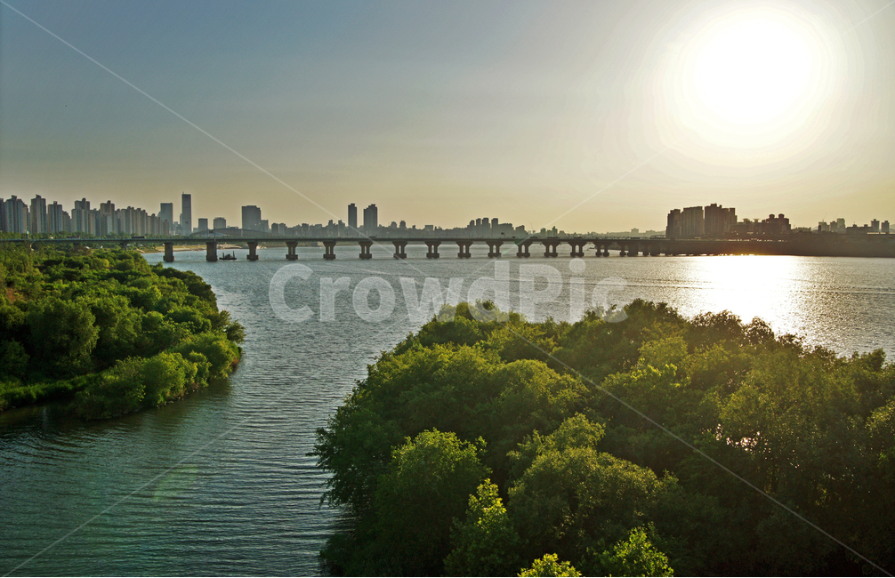 성내천,한강,잠실대교,한강다리,일몰,석양,수풀