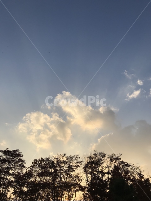 하늘,구름,날씨,파란,나뭇가지,햇빛,weather,sky